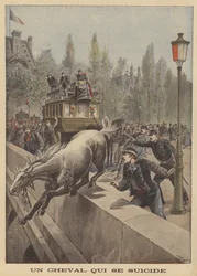 Suicide of a horse